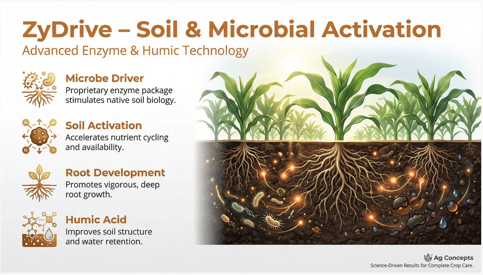 ZyDrive product overview