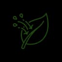 Leaf with applied droplets — foliar fertilizer