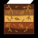 Soil cross-section showing organic matter layers